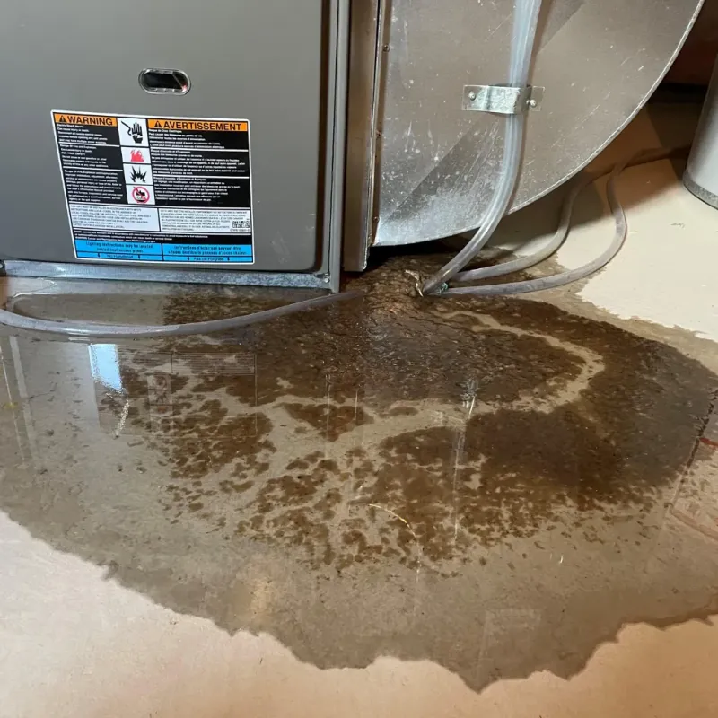 Appliance Leak Cleanup in Caliente, NV